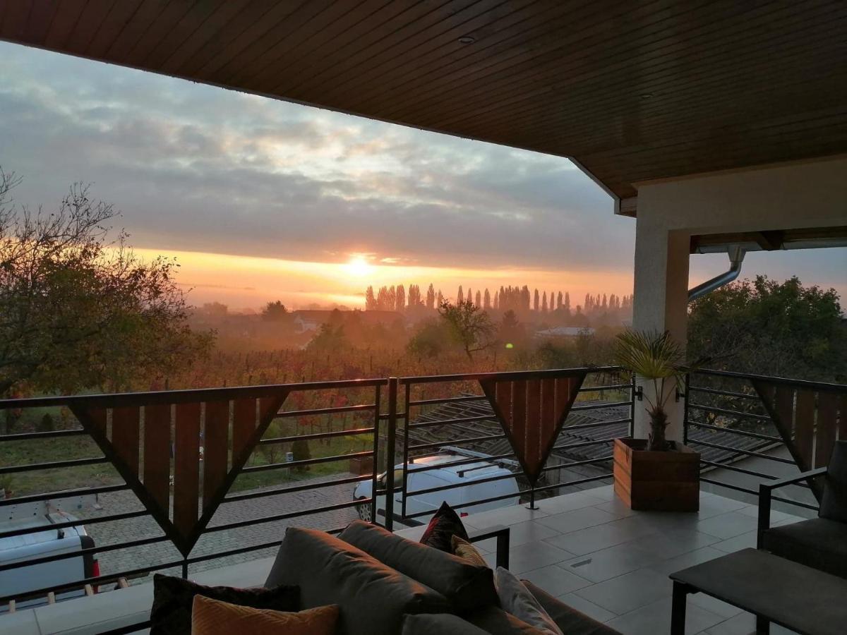 ヴィッラーニ Ludvig Panzio Bed & Breakfast エクステリア 写真